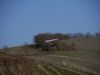 20220327_neumagen_097
