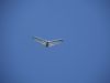 20220813_sommerfest_2022_099