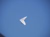 20220813_sommerfest_2022_100