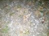 20230904_Greifenburg_01