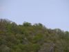 20240414_serrig_41
