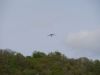 20240414_serrig_42