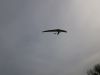 20240501_neumagen_21