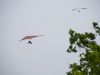 20240501_neumagen_27