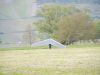 20240501_neumagen_33