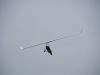 20240501_neumagen_40