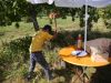 20240824_Sommerfest_018