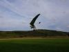 20240929_neumagen_34