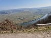20250308_neumagen_06