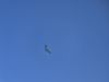 20250308_neumagen_08